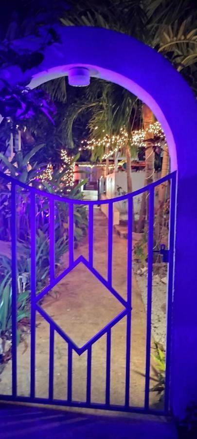 Casa De Tortuga Guesthouse Vieques Eksteriør bilde