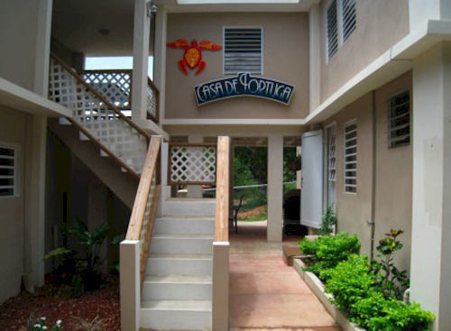 Casa De Tortuga Guesthouse Vieques Eksteriør bilde
